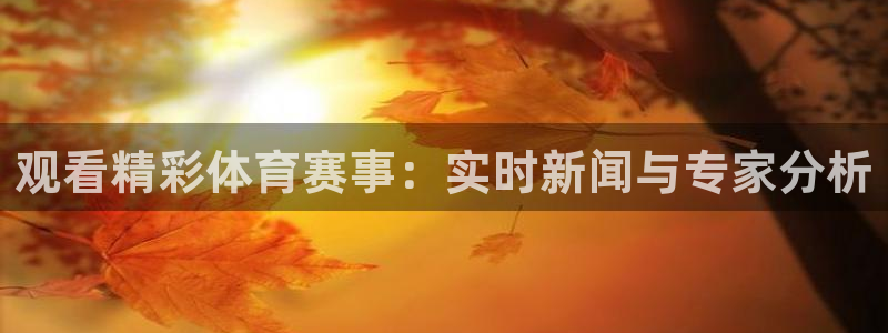 观看精彩体育赛事：实时新闻与专家分析
