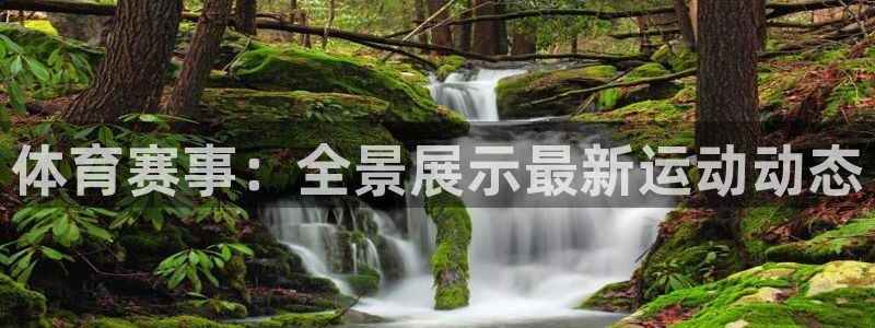 体育赛事：全景展示最新运动动态
