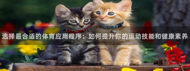 选择最合适的体育应用程序：如何提升你的运动技能和健康素养