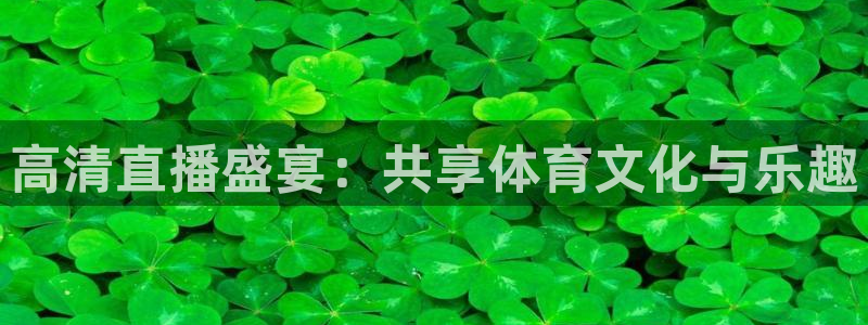 高清直播盛宴：共享体育文化与乐趣